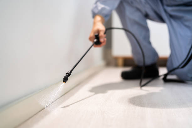 Certified termite inspector examining foundation in Grand Meadow